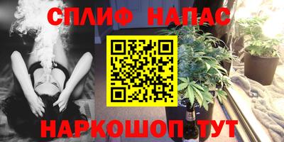 соль ск Будённовск