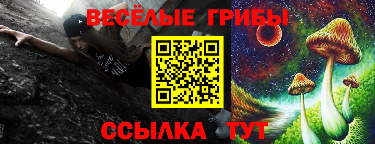 Псилоцибиновые грибы MAGIC MUSHROOMS  купить наркотики сайты  Галлюциногенные грибы Psilocybe  Кохма  Вход с VPN 